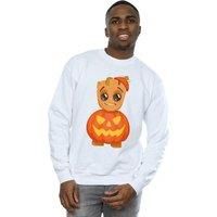 https://www.burton.co.uk/product/marvel-groot-pumpkin-sweatshirt_p-5edf88c4-07c8-48a7-a862-3ee5fe1f6812£colour=White&size=XXXL