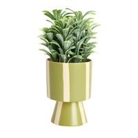 Argos Home Artificial Green Plant in Green Ceramic Pot