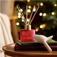 Argo Home 90ml Reed Diffuser with Robin - Christmas Spice