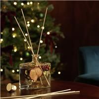 Argos Home 120ml Botanic Reed Diffuser - Christmas Spice