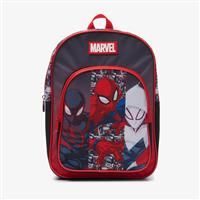 Spiderman Medium Standard