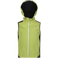 Regatta Childrens/Kids Acidity VI Lightweight Hooded Gilet5-6 Years Green Algae/