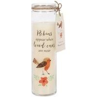 Something Different Robins Appear Cranberry Scented Candle / One Size White SD49