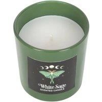 Something Different Luna Moth White Sage Scented Candle / One Size White/Green S