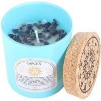 Something Different Pisces Gardenia Aquamarine Scented / One Size Blue/Brown SD5