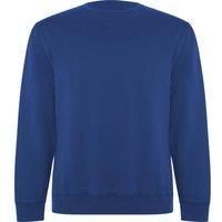 Roly Unisex Adult Batian Crew Neck Sweatshirt / N/A N/A PF4345