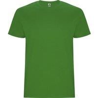 https://www.burton.co.uk/product/roly-stafford-t-shirt_p-d32a444a-b071-4295-bf56-7b275346cf9f£colour=Light%20Green&size=M