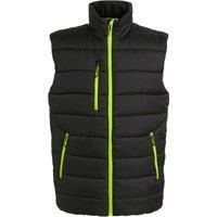 Regatta Professional Mens Thermal Body Warmer / N/A N/A RG9318