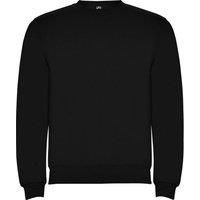 Roly Unisex Adult Clasica Crew Neck Sweatshirt / N/A N/A PF4342