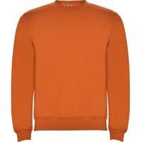 Roly Unisex Adult Clasica Crew Neck Sweatshirt / N/A N/A PF4342
