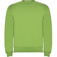 Roly Unisex Adult Clasica Crew Neck Sweatshirt / N/A N/A PF4342