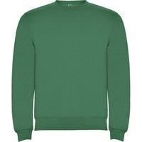 Roly  Clasica  women's Sweatshirt in Green