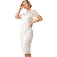 Roman Petite Lace Short Sleeve Dress 14 female