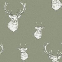https://www.burton.co.uk/product/catherine-lansfield-stag-wallpaper_p-1d1b7b35-4941-45b7-89ed-2c50fabfa615£colour=Green&size=One%20Size
