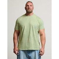 Big & Tall Mens Leaf Print T-Shirt