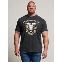 Big & Tall Mens Graphic T-Shirt