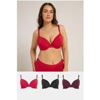 Yours Curve Women's Plus Size 3 PACK Lace Trim Padded Bras