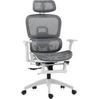 Executive Office Chair, Ergonomic Desk Chair with Lumbar Support, Grey and White