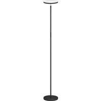 HOMCOM RGB Uplighter Floor Lamp, Tall Dimmable Standing Lamp with Remote & Touch Control, 350 Rotatable Head for Living Room Bedroom, 2700K-6000K Colour Temperatures, Black