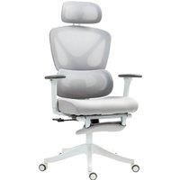 HOMCOM Executive Office Chair, Ergonomic Mesh Desk Chair with 3D Armrests, Rotatable Headrest, Adjustable Lumbar Support, Recliner Computer Swivel Chair with Footrest for Home Office, Grey