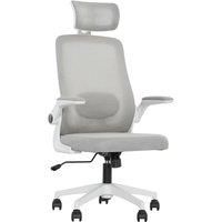 HOMCOM Executive Office Chair, Ergonomic Mesh High Back Desk Chair with Flip-up Armrest, Adjustable Lumbar Support, Headrest for Home Study, Grey