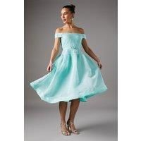 Coast Mint Midi Dress Womens Occasion Dresses