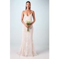 Coast Ivory A-Line Dress Womens Bridal Dresses