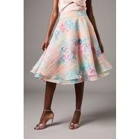 Coast Peach Midi Skirt Womens Occasion Skirts