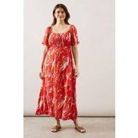 Wallis Orange Fit & Flare Dress Womens Daywear Dresses