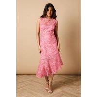 Petite Floral Lace Scallop Detail Midi Dress