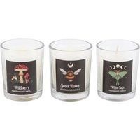 Something Different Dark Forest Trio Votive Candles (Pack of / One Size White/Bl