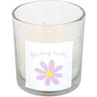 Something Different Blooming Lovely Wildflower Daisy ScentedOne Size White/Yello