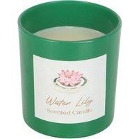 Something Different Water Lily Scented Candle / One Size Green SD9886