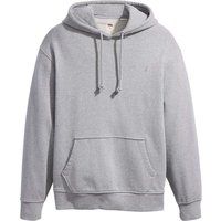 Levis  GT3094  men's Sweatshirt in Grey