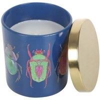 Something Different Amber & Vanilla Beetle Scented Candle / One Size Multicolour