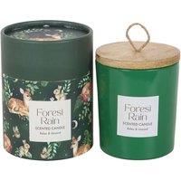Something Different Forest Rain Scented Candle / One Size Green SD10198