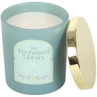 Something Different The Enchanted Library Leather, Patchouli / One Size Light Bl