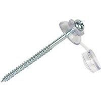 Pan Roofing Screws 4 x 60mm 20 Pack (50983)