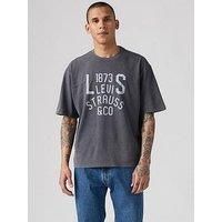 Levi'S Lockwood Practice Graphic Short Sleeve T-Shirt- Grey