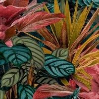 Grandeco Wanderlust Tropical Green Multi Paste The Wall Wallpaper Vinyl
