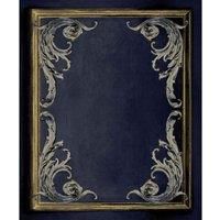 Paul Moneypenny Rococo Panel Wallpaper Navy Grey Textured Paste The Wall Vinyl
