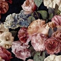 Grandeco Paul Moneypenny Gabrielle Maximalist Red Floral on Black Wallpaper