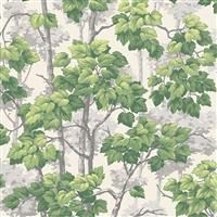 Belgravia Decor Rivington Green White Wallpaper 2500 - Foliage Trees Leaves