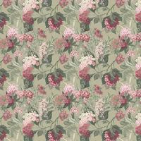 Albany Wallpaper Misake 2321