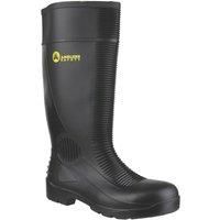 Amblers Safety FS100 Safety Wellington