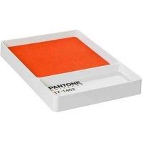 Pantone Universe Key Tray Tangerine Tango 17-1463 Home Décor Accessories Office
