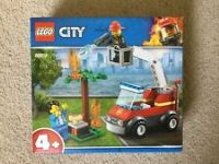 LEGO 60212 4+ City Fire Barbecue Burn Out with Fire Engine Truck Toy, Fireman Minifigure, Hot Dog and Grill Accessories, Fire Response Vehicles Building Set