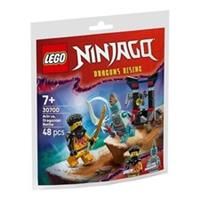 LEGO NINJAGO Dragons Rising Arin vs. Dragonian Battle Paper Bag Set 30700, 48 Pieces, 7+ Years
