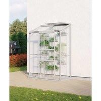 Vitavia Ida 2 x 4 ft Horticultural Glass Greenhouse