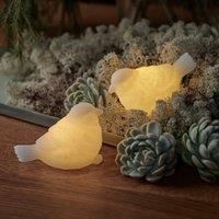 Sirius Sparrow LED decorative light, set of 2